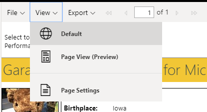 page view menu dropdown for paginated reports