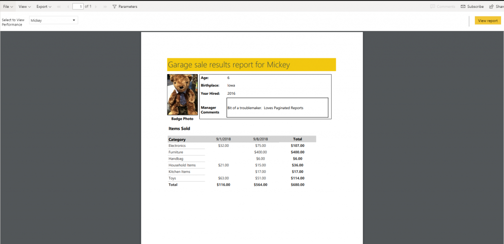 full view of report using new page view option