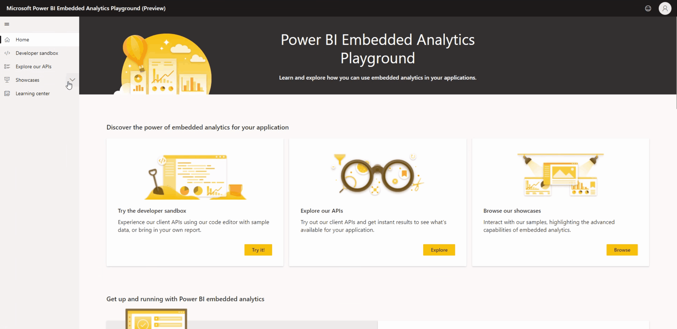 Use your embed token in the developer sandbox